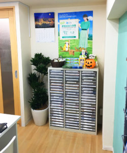 【納品事例３】観葉植物を東京都清瀬市のオフィスに納品しました！！